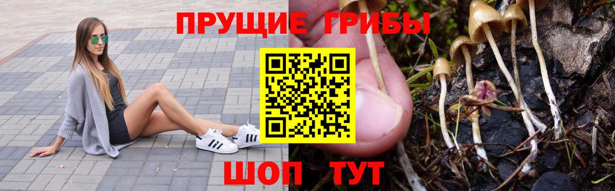 продажа наркотиков  Вход с VPN  Псилоцибиновые грибы Psilocybe  Клин  Галлюциногенные грибы Psilocybe 