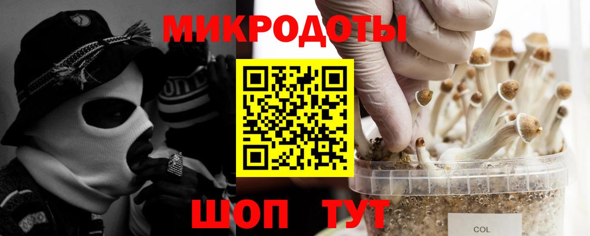 Псилоцибиновые грибы Psilocybine cubensis Клин